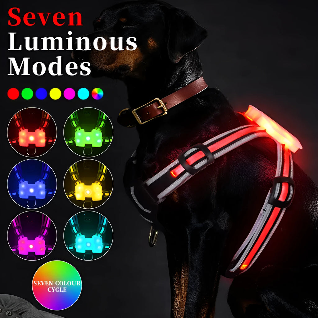 Nylon dog lead with luminous seven-colour changing strap and charging cable for pet safety