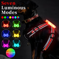 Nylon dog lead with luminous seven-colour changing strap and charging cable for pet safety