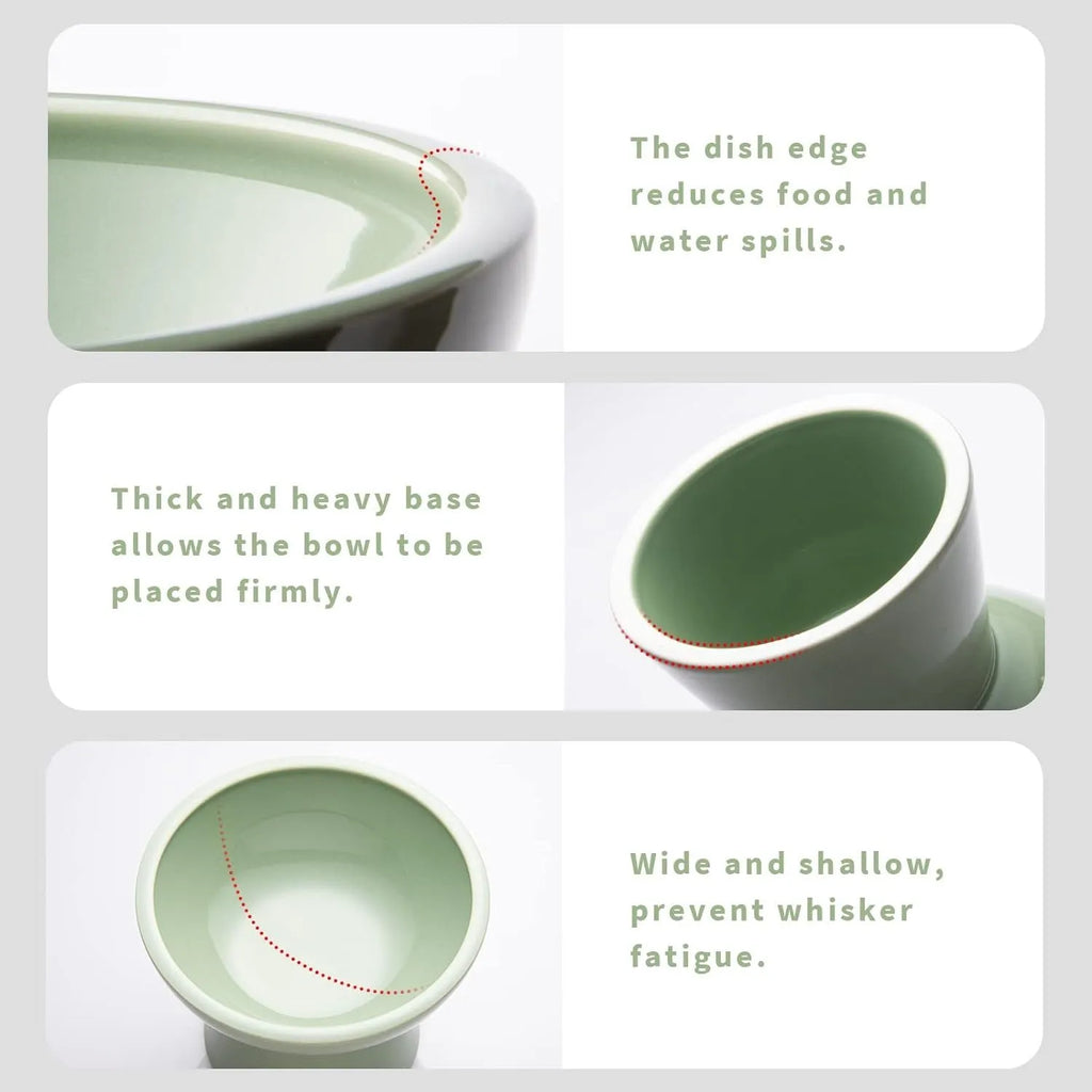 Ceramic elevated cat bowl with wide shallow design in blue, green, pink or white