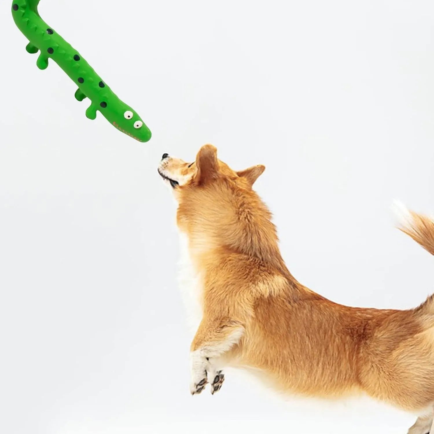 Green lizard-shaped dog chew toy with squeaker for aggressive chewers, shown with dimensions.