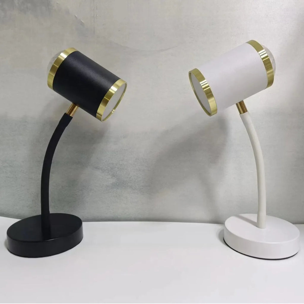 Photography live streaming double-headed lamp with metal holder and wire switch in black finish