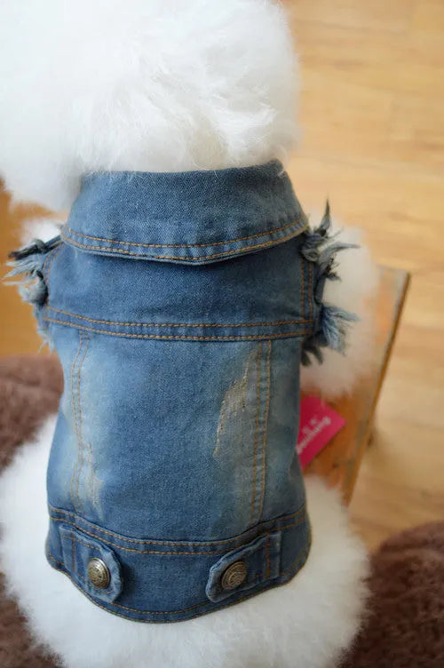 Retro scratch pattern denim dog vest on a model dog, showing dark wash colour and European style cut.