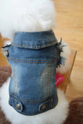 Retro scratch pattern denim dog vest on a model dog, showing dark wash colour and European style cut.