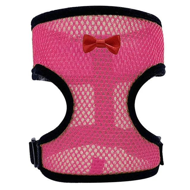 Poultry harness set with chicken vest, matching collar and 110cm traction rope for pet ducks and chickens