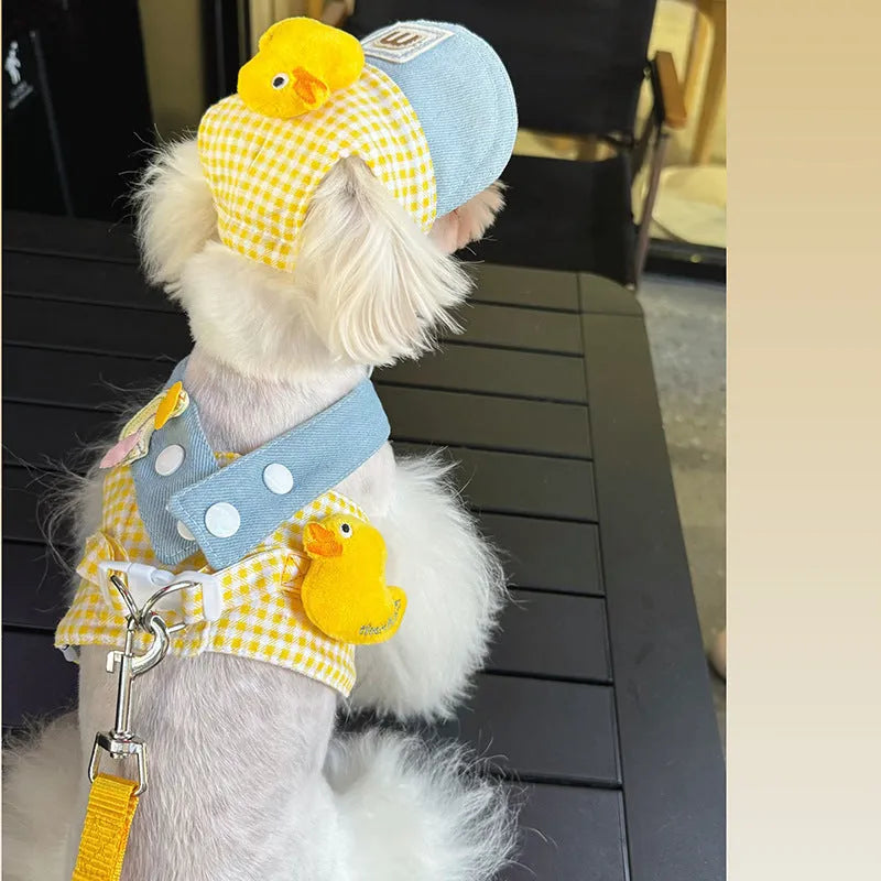 Three-piece cat clothes set showing harness, leash with wire rope, and cute hat for outdoor walks