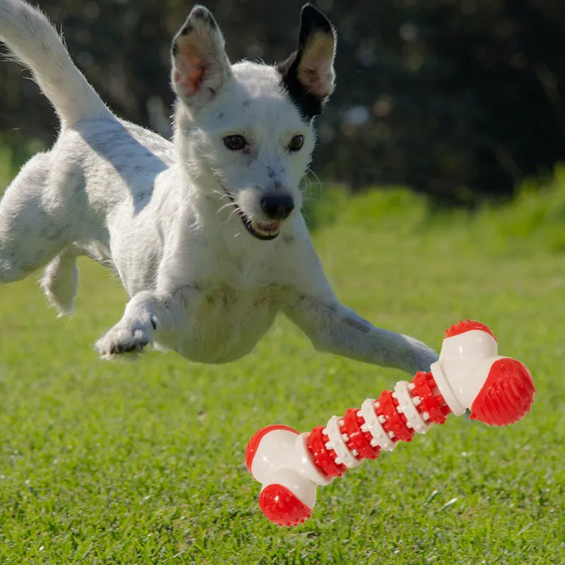 Blue bone-shaped interactive dog toy for small breeds with a treat compartment.