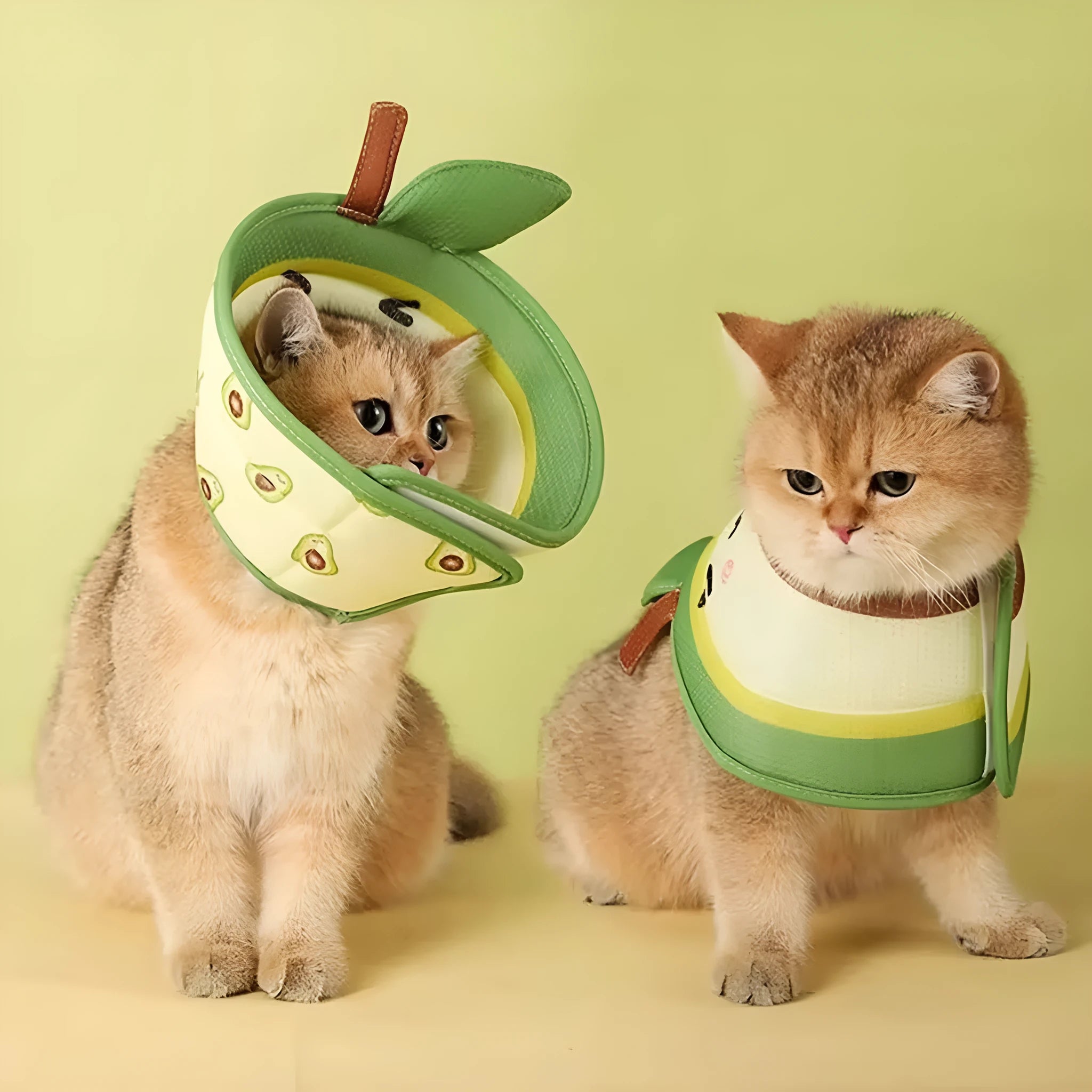 Soft EPE foam cat cone collar with adjustable strap and folding edges.