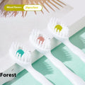 Box containing 20 disposable bead toothbrushes for travel with flavour options