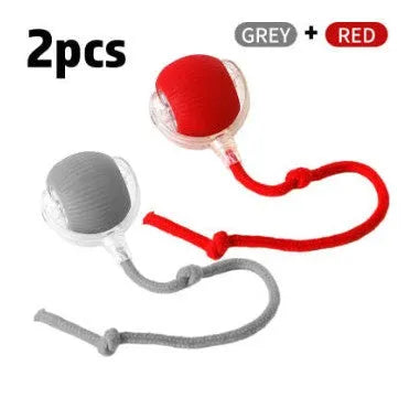 Interactive cat rolling ball toy in grey, green, and red colour options with automatic motion features