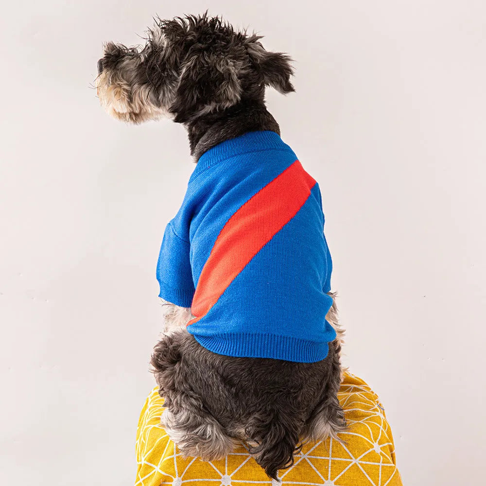 A small dog wearing a casual blue wool blend jumper, showing the pullover style and fit.