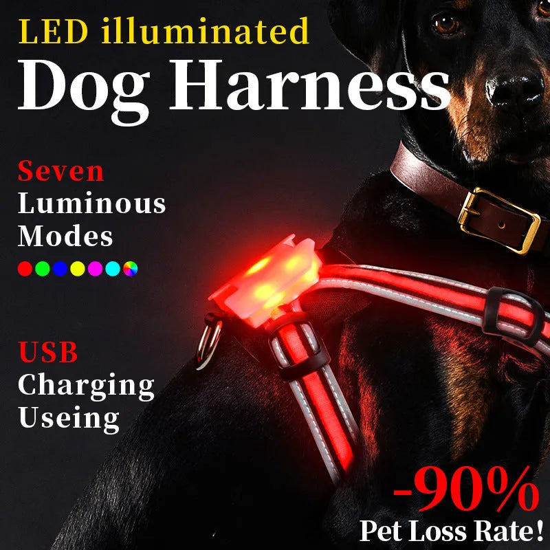 Nylon dog lead with luminous seven-colour changing strap and charging cable for pet safety