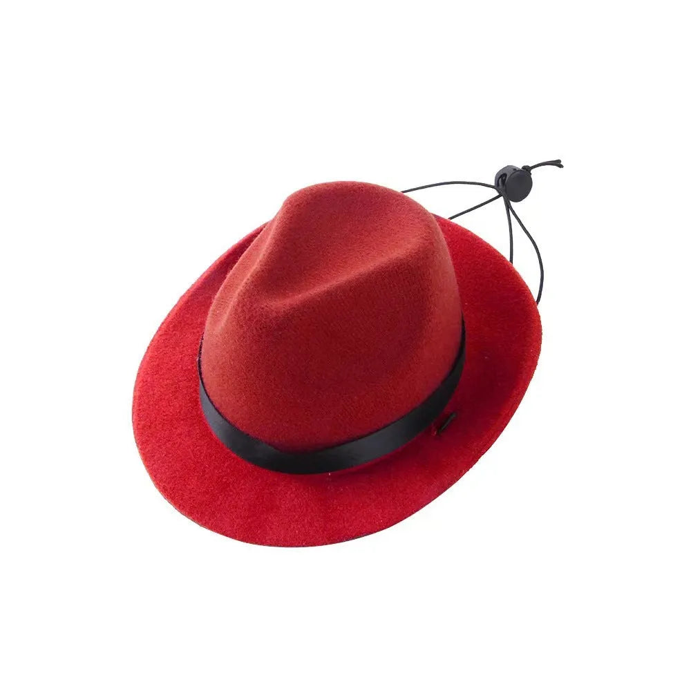 Handmade wool felt mini pet hat for small dogs and cats in S size with 155cm diameter
