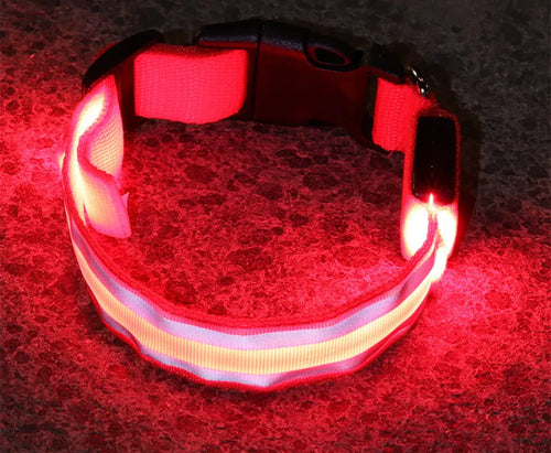 Anti-lost LED luminous dog collar on dog, nylon webbing, monochrome pattern