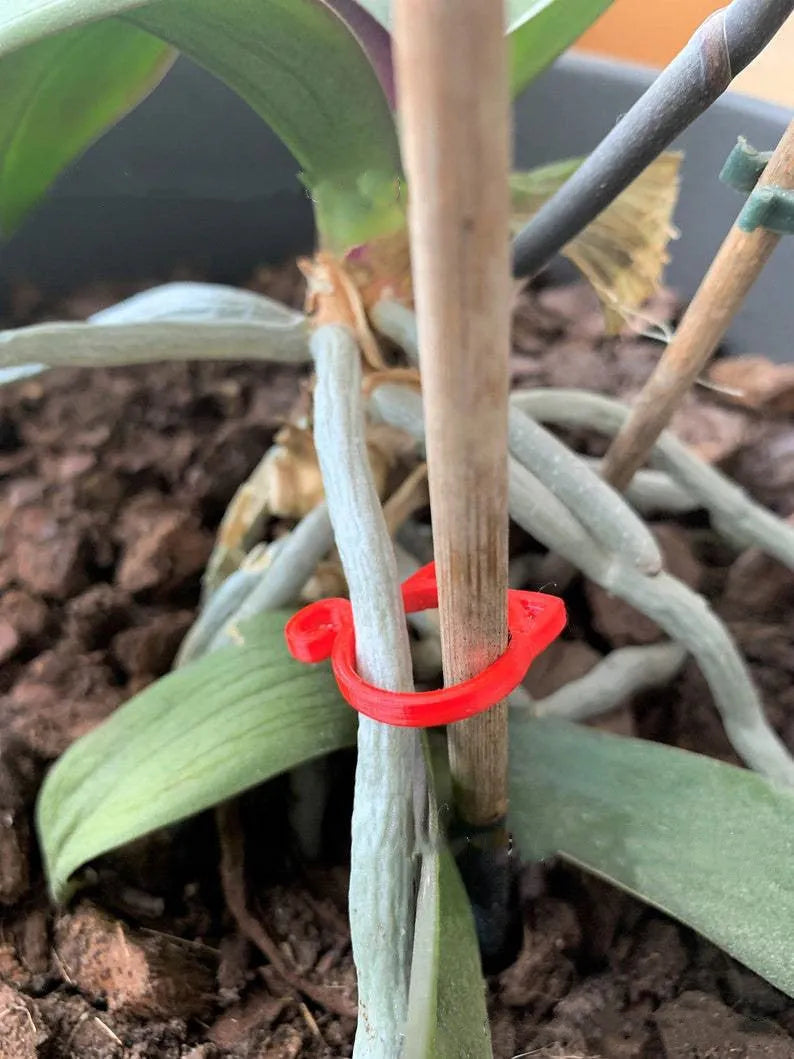 Cat-shaped plastic plant clip in green, red, white, and yellow colour options