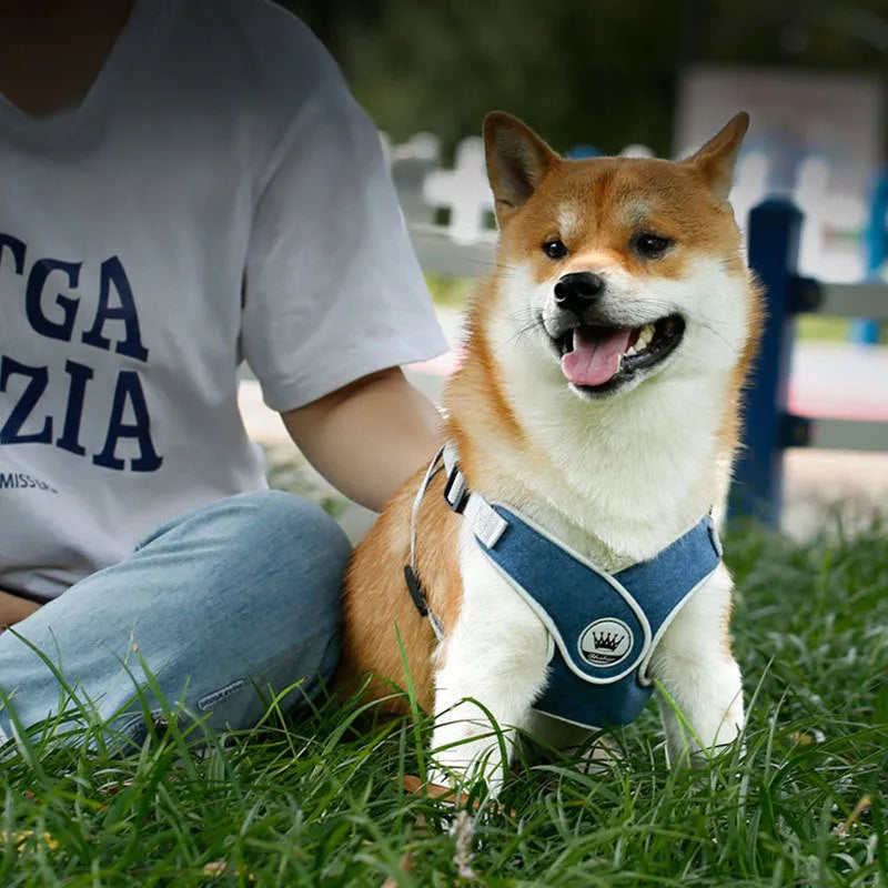 Adjustable dog harness with reflective mesh fabric in multiple colours and sizes