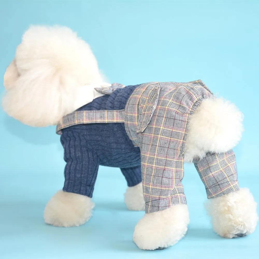 Orange and dark blue cotton dog shirt for small breeds showing front view