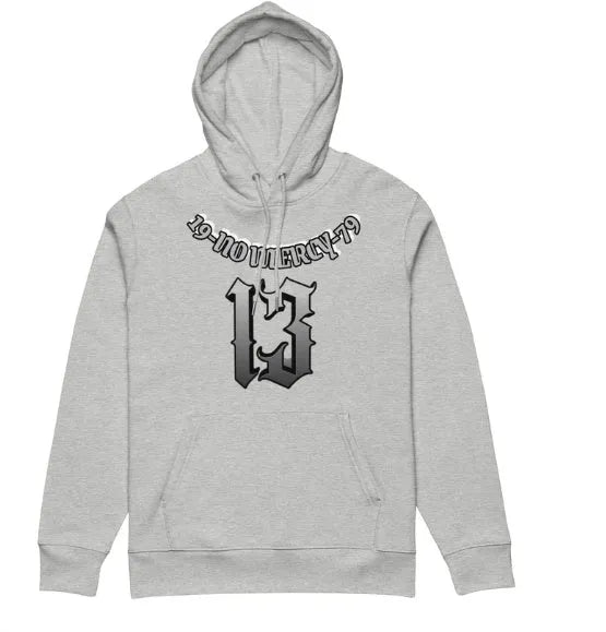 Hooded pullover sweater in polyester with fleece lining, shown in multiple colour options