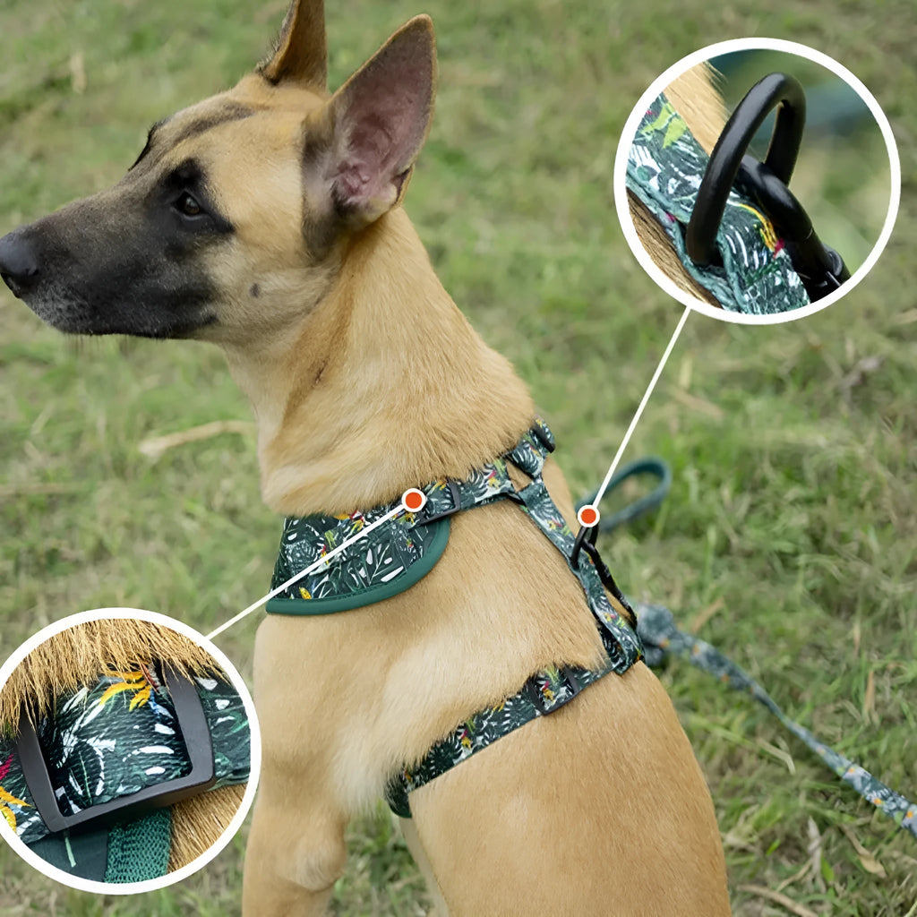 Adjustable cloth dog harness vest set with leash, collar, waste bag, bow tie and bib in six-piece gift package