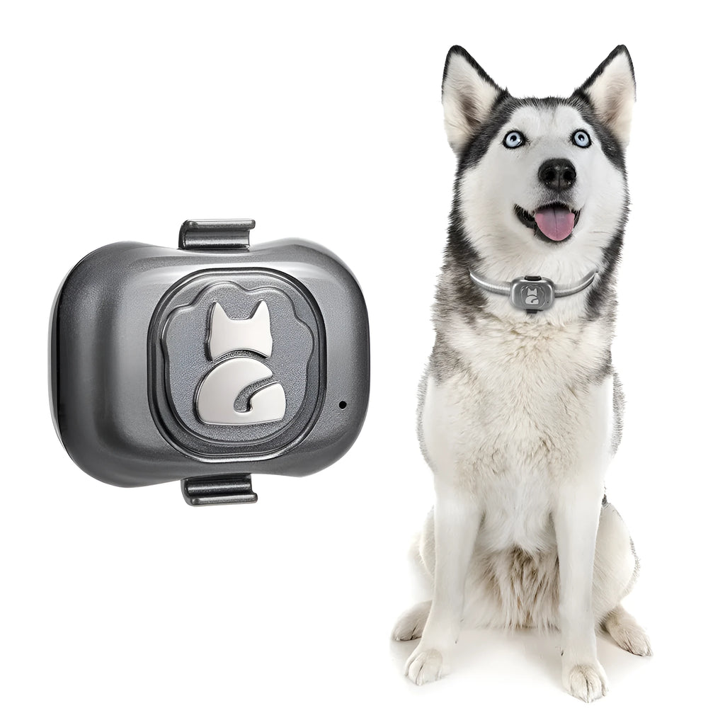 Black pet GPS tracker with hanging rope showing dimensions and USB charging port