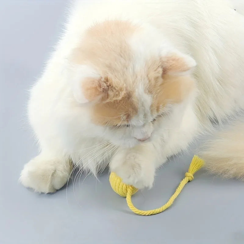 Cat toy ball with rope in four colours: green, pink, purple, and yellow