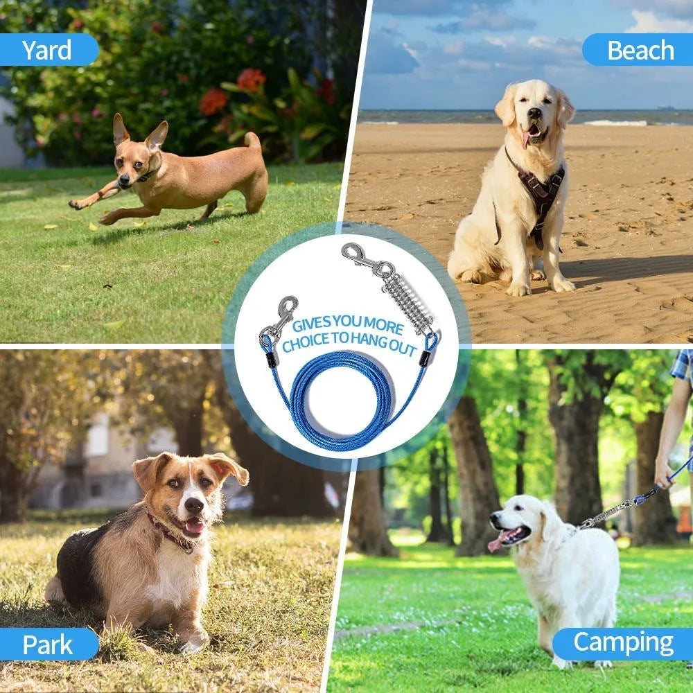 Anti-bite dog leash with steel wire core and Martin buckle stud, thick rope design, available in multiple colours and lengths