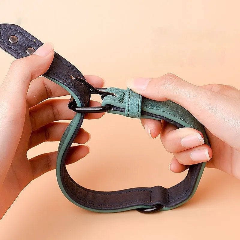 Adjustable dog collar in purple with anti-loss design and durable double-layer construction