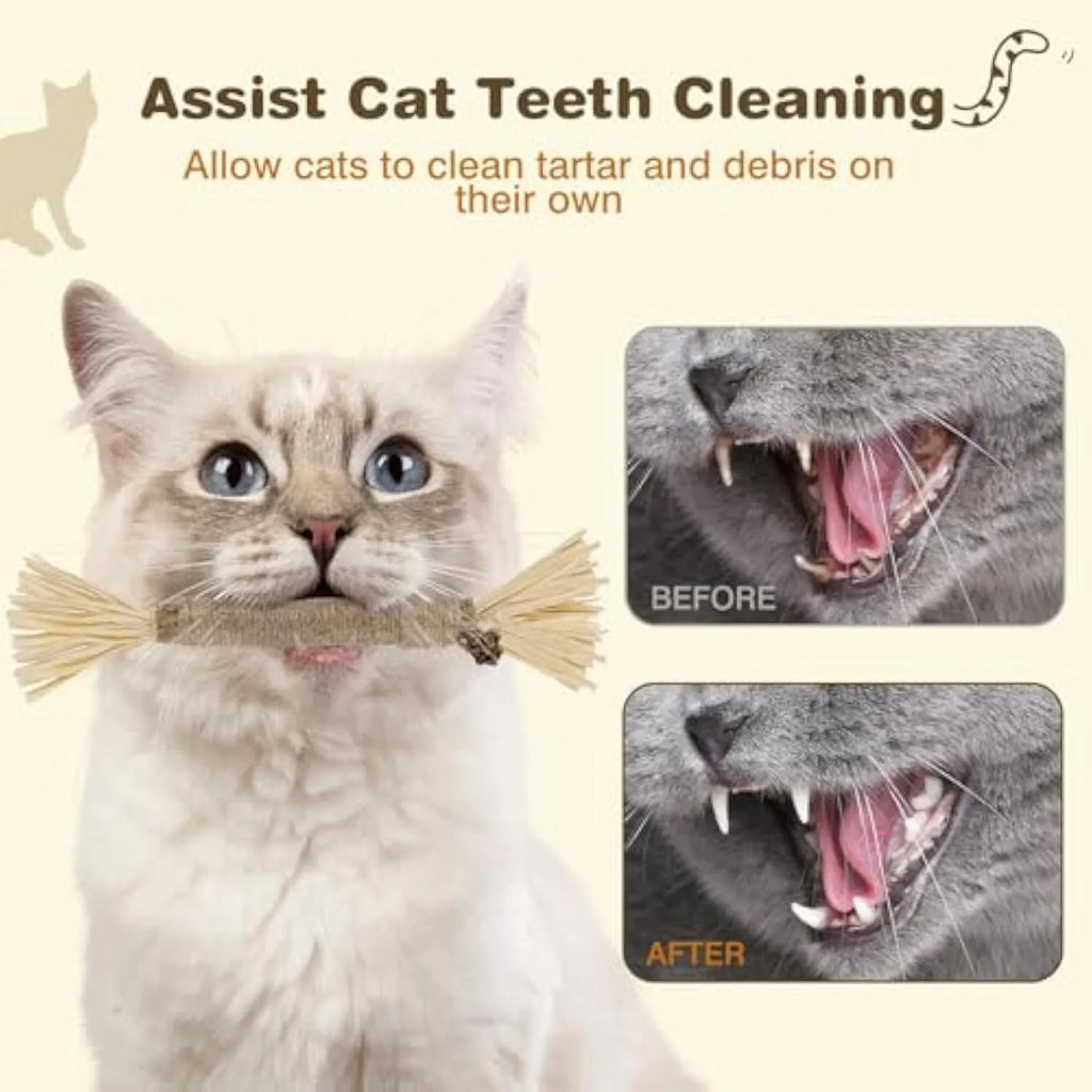 Three natural silvervine chew sticks for cats on a wooden surface, showing thick and fine diameter options
