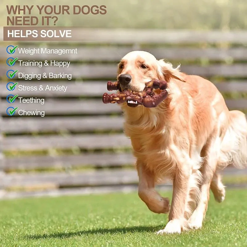 Scarlet beef flavour nylon dog chew toy for molar cleaning, size 10.7x17.2x5cm.