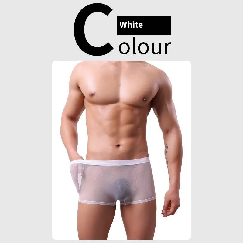 Men's mesh boxer briefs with sheer thin fabric and low waist design in multiple colours