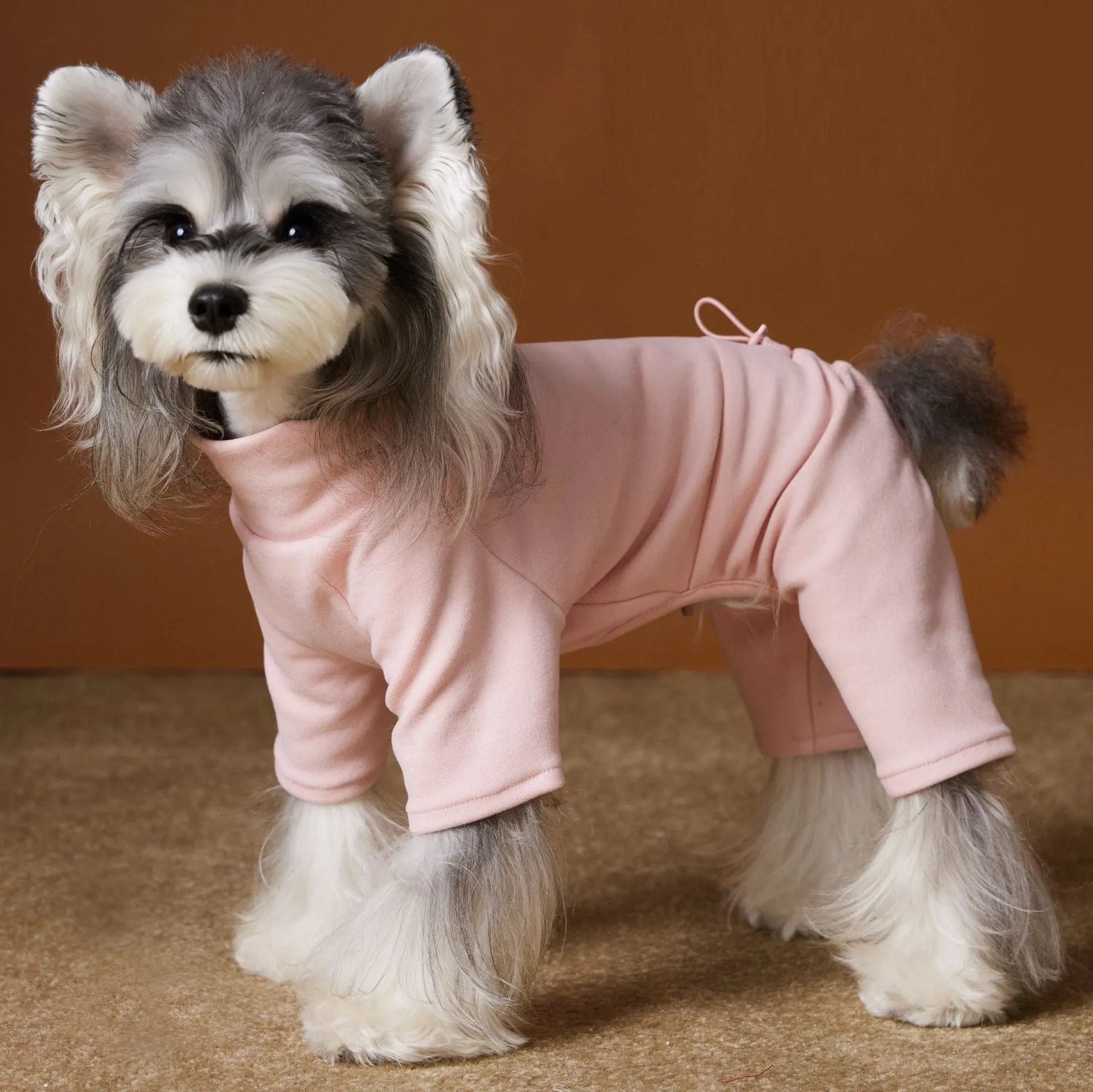 Blue polyester four-leg bottoming shirt for small dogs Schnauzer Bichon on a white background