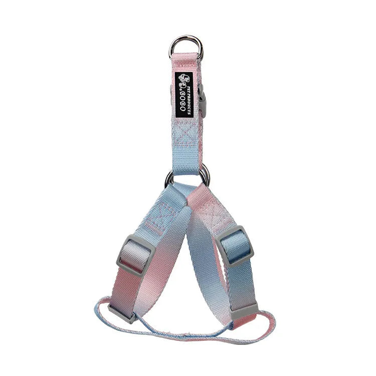 Nylon dog leash and harness set in pink and blue gradient colour, showing collar, leash, and chest strap components.