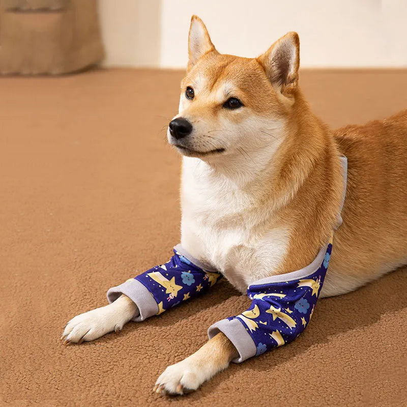 Blue dog knee brace with elbow padding and matching scarf shown on medium-sized dog