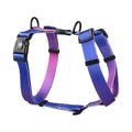 Gradient colour pet chest strap harness showing four pattern options for dog walking