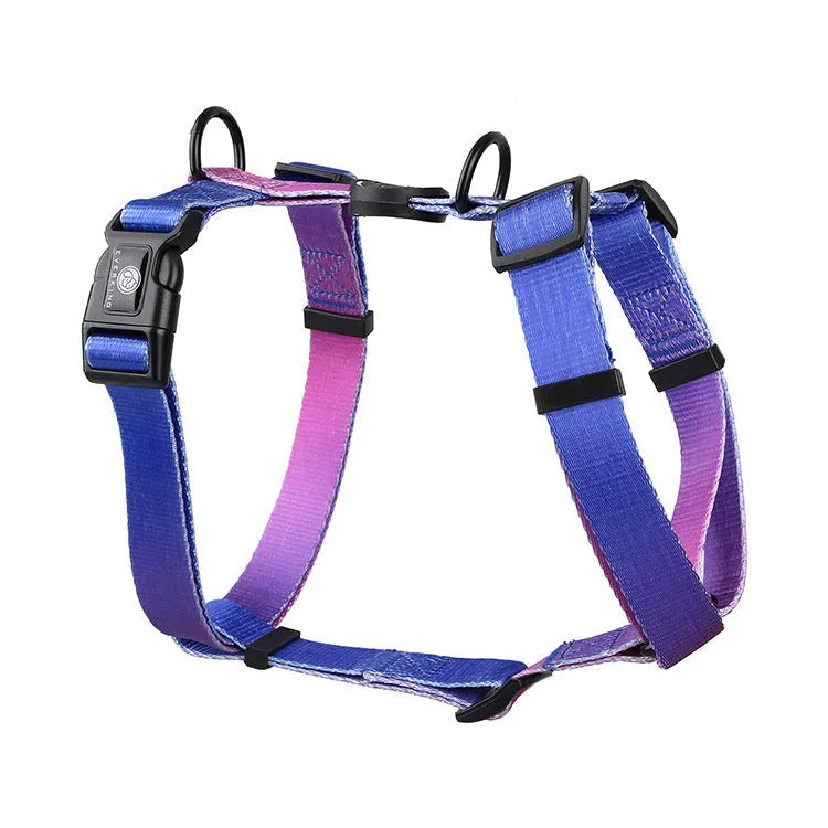 Gradient colour pet chest strap harness showing four pattern options for dog walking
