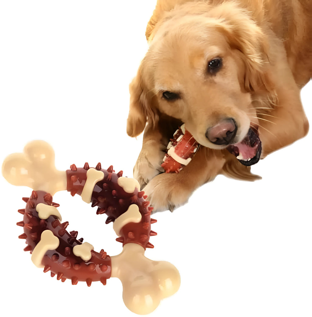 Bone-shaped natural rubber dog dental toy for teeth grinding and anxiety relief