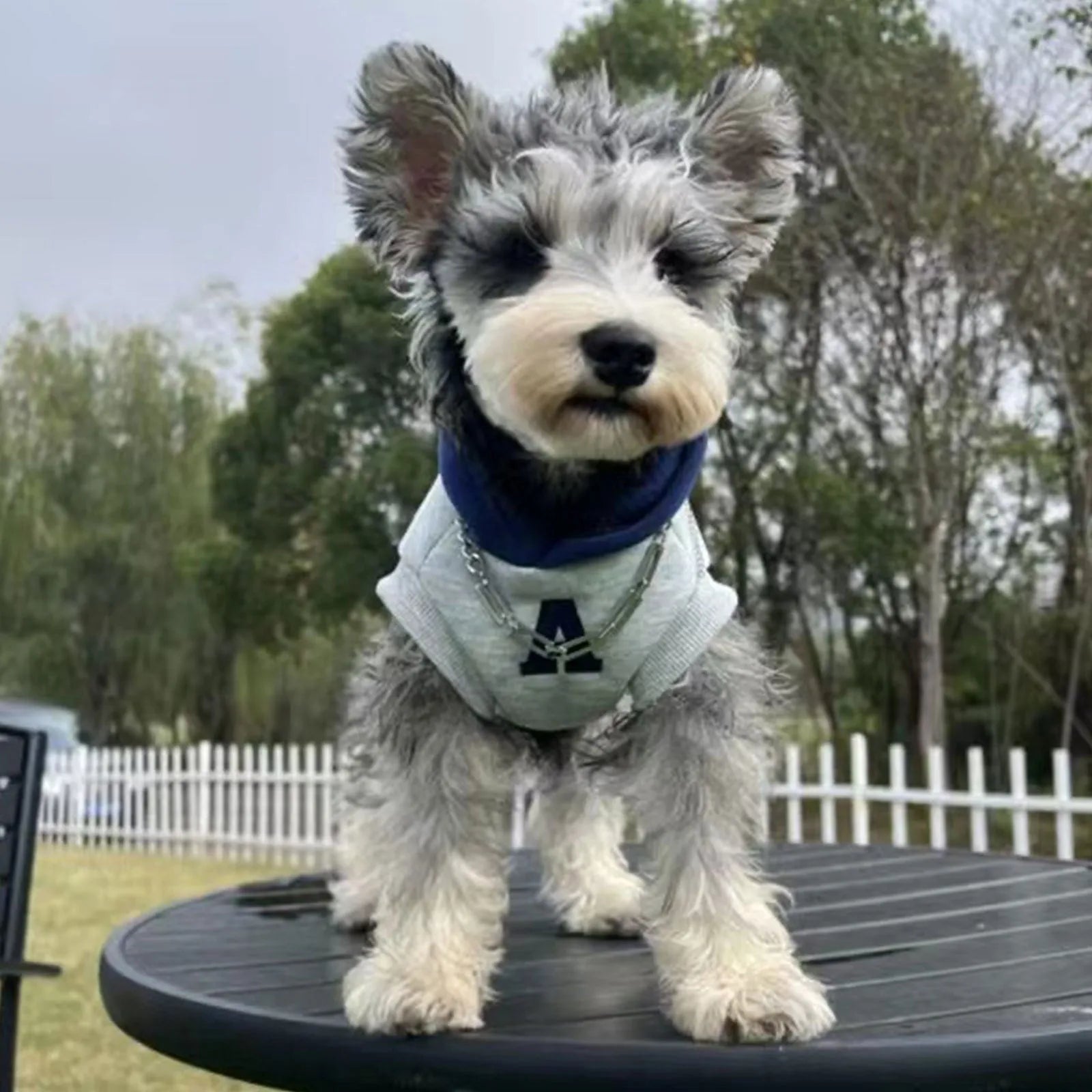 Blue pet hoodie with reflective grey-white lettering, slim-fitting design for cats and dogs