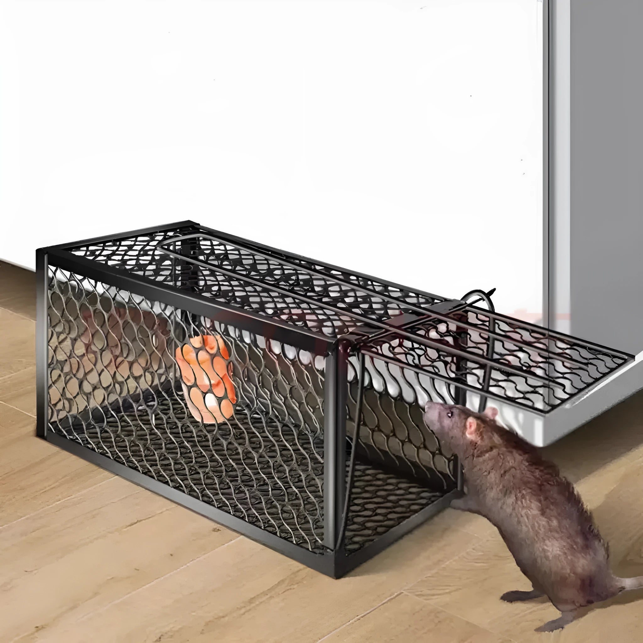 Automatic mouse cage trap showing metal and plastic construction options in small, medium, large sizes