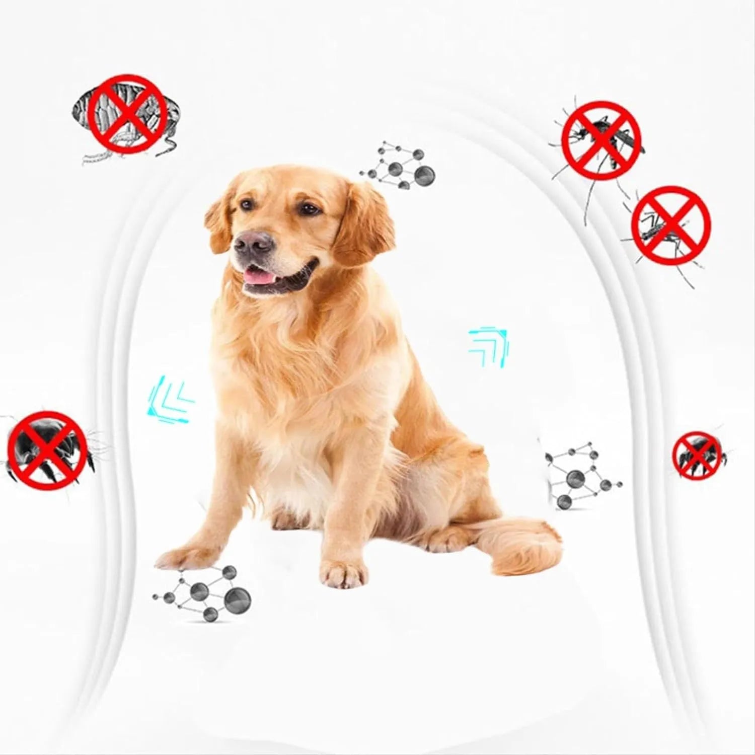 A small white plastic double-sided flea comb for pets, showing both the fine tooth side and the grate mouth side.