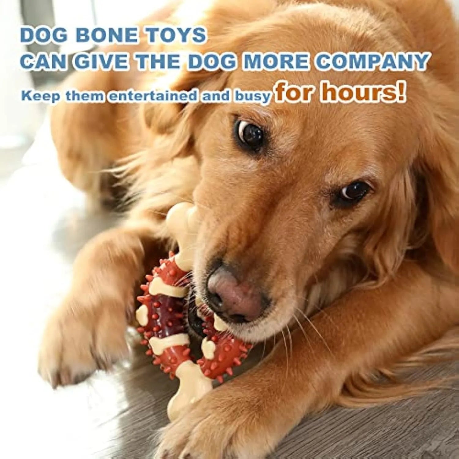 Bone-shaped natural rubber dog dental toy for teeth grinding and anxiety relief