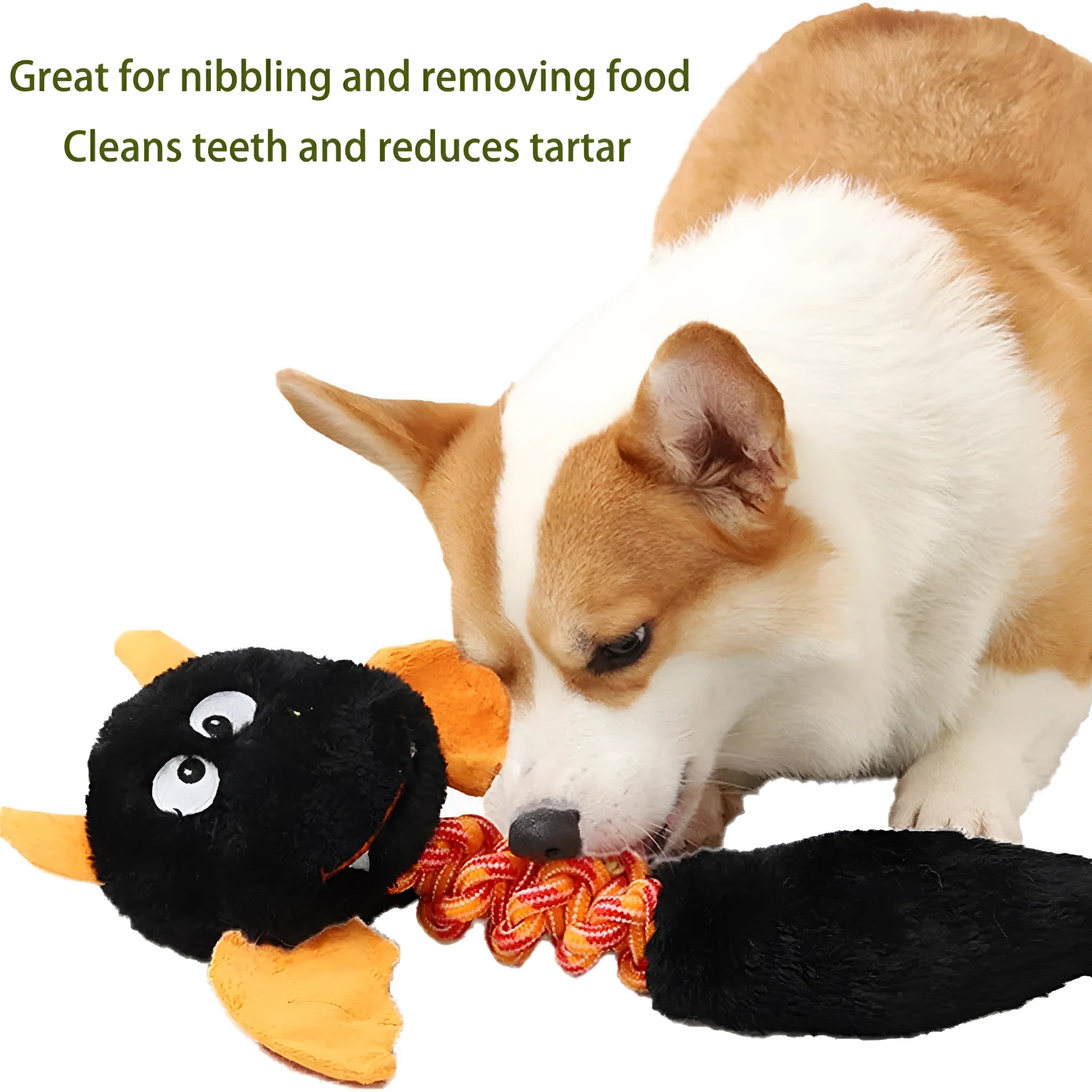 Large plush dog toy with squeaker and rattle in black, green, or red colours, measuring 44cm long