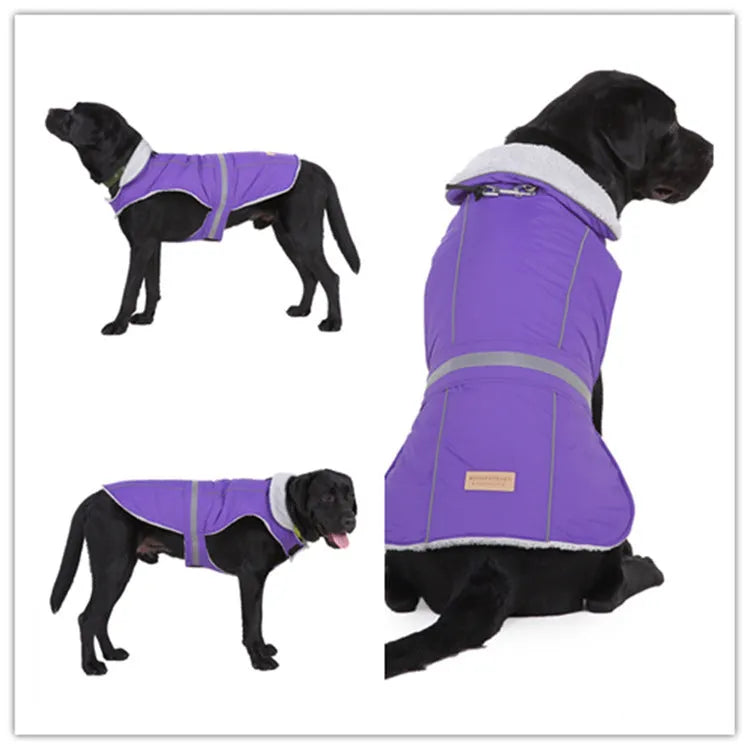 Reflective pet coat for dogs, cotton polyester blend, pink or purple, five sizes from S to XXL for night visibility