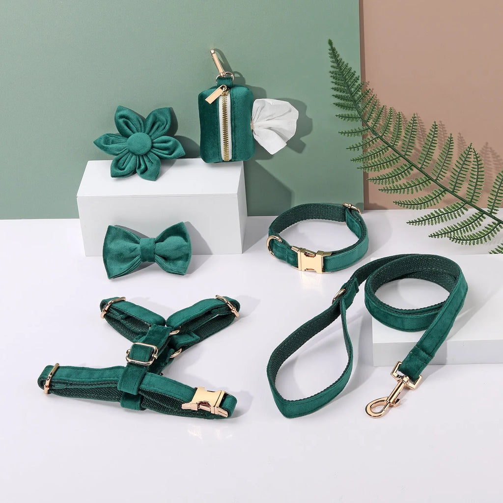 Classic velvet dog collar and matching traction rope set with bow tie and flower decoration.