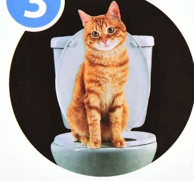 Blue cat toilet trainer with grooved removable trays placed on a white toilet seat