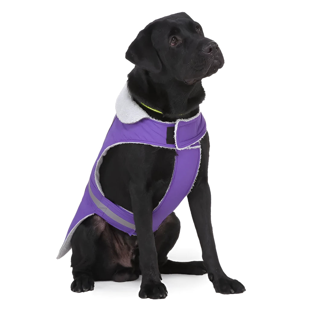 Reflective pet coat for dogs, cotton polyester blend, pink or purple, five sizes from S to XXL for night visibility