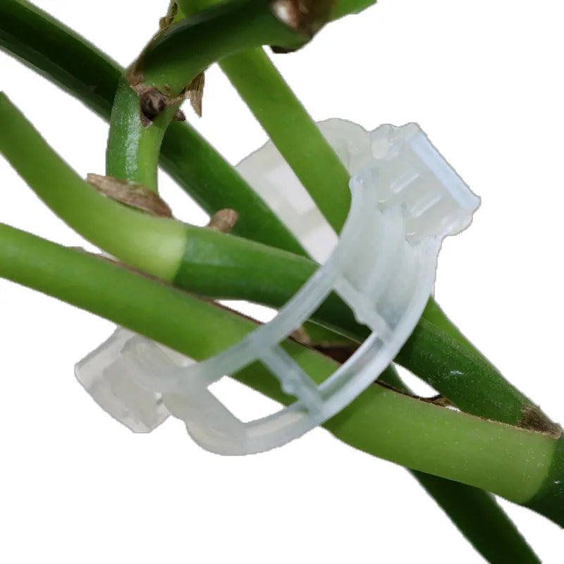 50 piece pack of plastic plant grafting clips for tomato vine and garden support