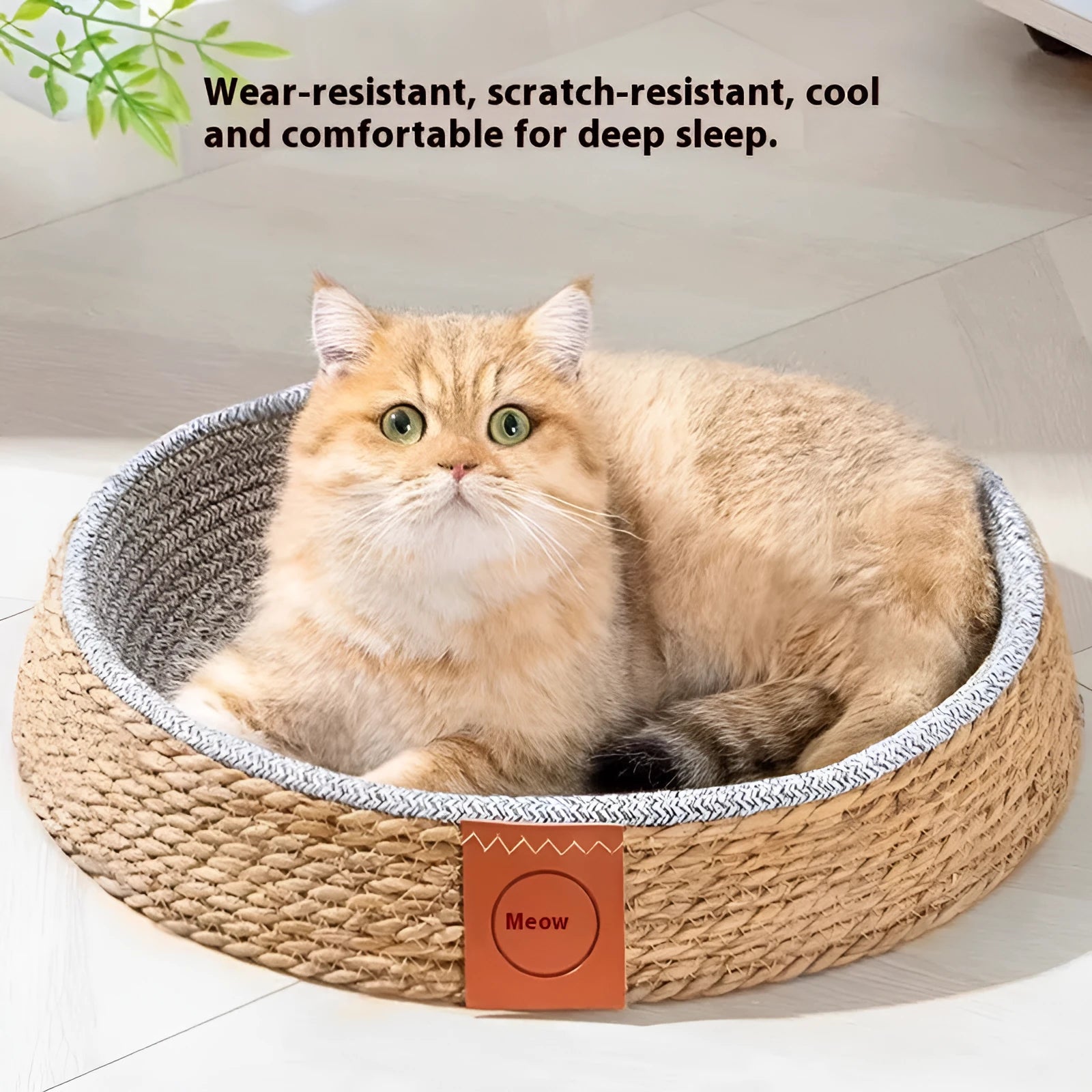 Rattan cat bed with natural open weave construction in four available sizes
