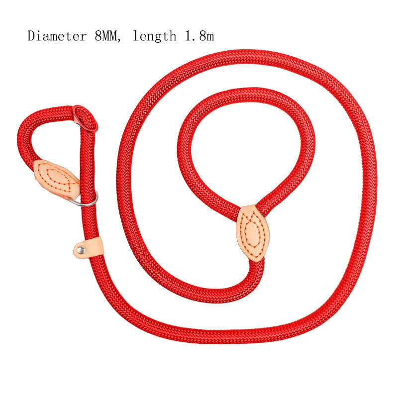 Blast race training dog leash and padded collar set in multiple colours
