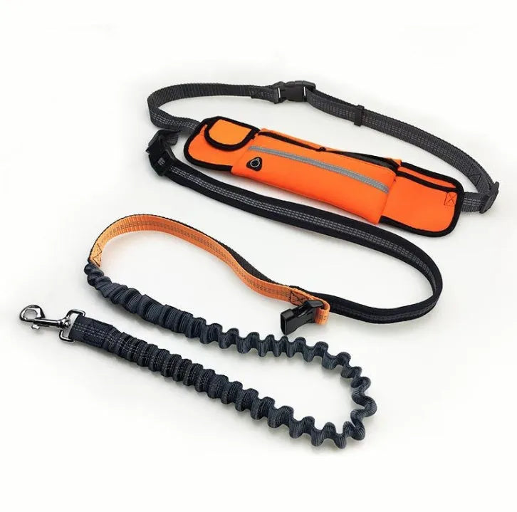 Hands-free dog running leash with black waist belt and reflective nylon bungee leash