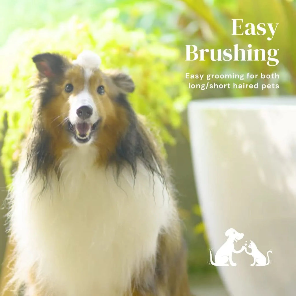 Blue self-cleaning slicker brush for dogs and cats on a table, showing ergonomic rubber handle and stainless steel pins.