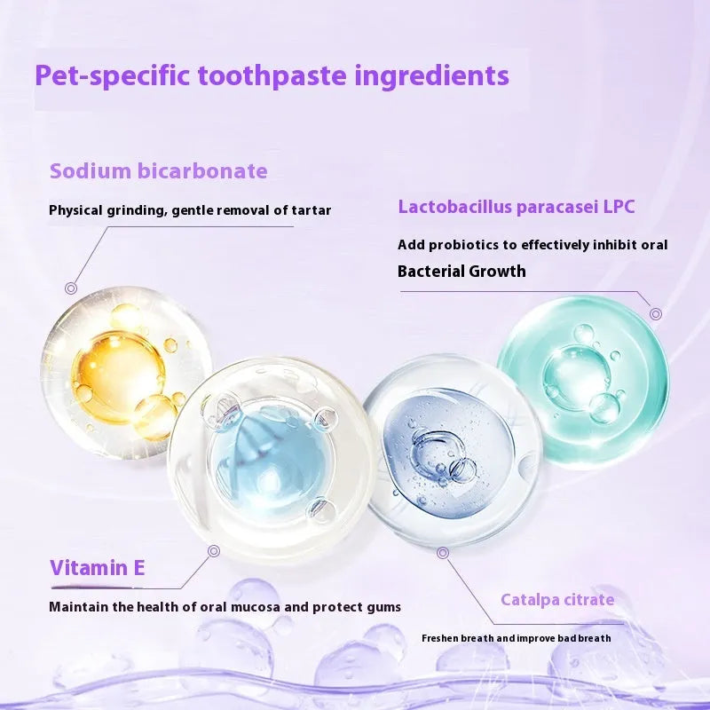 Pet toothbrush pen with whitening gel for dog and cat dental tartar cleaning